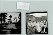 34549 W3593 Edersee FOTO KEINE AK Wildpark