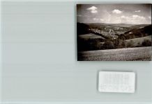 54550 W5568 Daun FOTO KEINE AK Ortsansicht