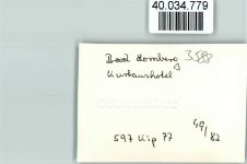 34576 W3588 Homberg , Efze FOTO KEINE AK Kurhaushotel