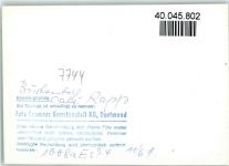 78126 W7744 Buchenberg , Schwarzw FOTO KEINE AK Cafe Rapp Speck und Kirsch