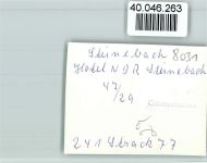 82237 W8031 Steinebach a Wörthsee FOTO KEINE AK Hotel NDR Steinebach