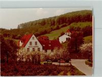 32361 W4994 Holzhausen , Kr Lübbecke, Westf FOTO KEINE AK Pension zur Vogeltaufe
