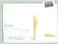 24326 W2323 Dersau , Kr Plön FOTO KEINE AK Kleine Ukleisee