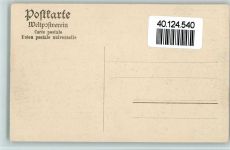 56346 W5422 Wellmich - Ruine Maus