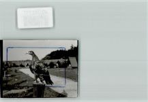 37603 W3450 Silberborn FOTO KEINE AK Adler