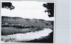 54487 W5557 Wintrich - Foto-Karte