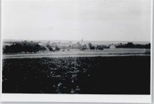 97241 W8702 Opferbaum - Foto-Karte