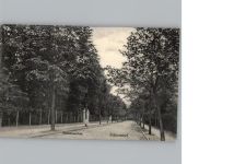 10115 W1000 Berlin, Zehlendorf