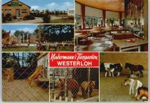 33129 W4795 Delbrück - Gastwirtschaft, Camping, Tiergarten Nadermann