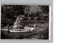 65812 W6232 Bad Soden am Taunus - Foto 10x14 cm