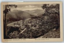 38889 O3721 Treseburg - Panorama Berg Wald Haus