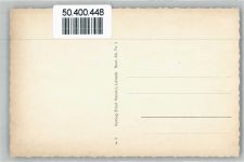 23730 W2430 Pelzerhaken