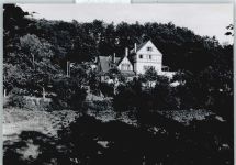 56355 W5428 Diethardt