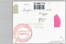 35274 W3575 Kirchhain - Foto-Karte