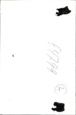 67575 W6528 Eich , Rheinhess - Foto 10x14 cm