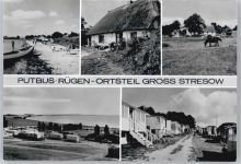 18581 O2353 Putbus - Strand, Feriensiedlung, Pferd