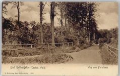 49214 W4502 Bad Rothenfelde - Weg zum Forsthaus