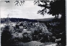 67710 Wangenbourg-Engenthal - Hotel Restaurant Goldbrunnen