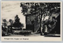 52385 W5168 Nideggen - Burg