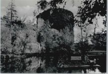 36289 W6431 Friedewald , Hess - Schlosspartie