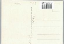 49849 W4459 Wilsum b Emlichheim - Flieder