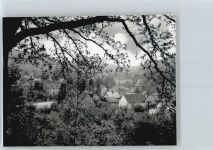31020 W3216 Lauenstein , Niedersachs FOTO KEINE AK Foto mit Negativ