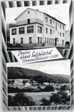 35080 W3551 Wommelshausen Hütte - Pension Haus Salzbödetal