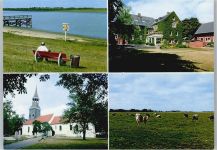 25774 W2247 Lunden , Holst - Kirche, Kuhweide, Parkbank