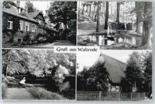29664 W3030 Walsrode - Schwan, Springbrunnen