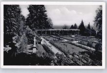 78462 W7750 Insel Mainau - Rosengarten AKU1