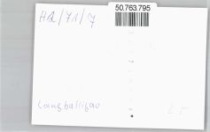 24977 W2391 Langballigau FOTO KEINE AK Foto