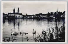 88339 W7967 Bad Waldsee - Schwan