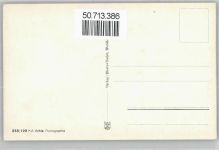 88339 W7967 Bad Waldsee - Schwan
