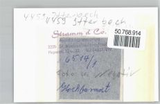 49847 W4459 Itterbeck FOTO KEINE AK Foto mit Negativ, Kirche