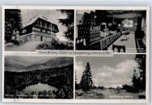 77883 W7593 Ottenhöfen im Schwarzwald - Darmstäster Hütte, Hochmoor