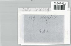 31224 W3150 Woltorf , Kr Peine FOTO KEINE AK Foto mit Negativ, Denkmal, Ehrenmal