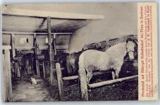 01796 O8300 Pirna - Rittergut Rottwerndorf, Pferdestall
