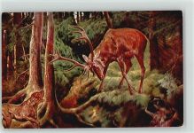 Jagdhund Hirsch Serie 206 Jagd 1920