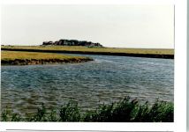 25859 W2251 Hooge, Hallig FOTO KEINE AK