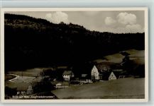64689 W6149 Grasellenbach - Hotel Siegfriedsbrunnen ca 1952 AK