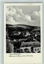 54550 W5568 Daun - Blick von der Burg auf den Mäuseberg