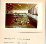 26757 W2972 Borkum FOTO KEINE AK Wellenbad Badekappenpflicht Innenaufnahme Foto montiert auf Karton