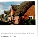 25938 W2270 Oevenum FOTO KEINE AK Alte Friesenhäuser Foto montiert auf Karton