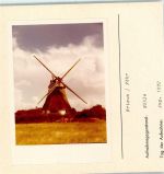 25938 W2270 Wrixum FOTO KEINE AK Windmühle Foto montiert auf Karton