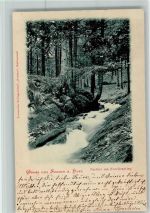 38723 W3370 Seesen , Harz 1900 - Partie am Forellenstieg