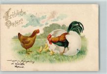 Ostern - ein Hahn kommt aus einem Osterei AK Huhn 1900 Lithographie / Prägedruck