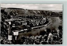 56333 W5406 Winningen , Mosel - Gesamtansicht Trauben Weinflasche