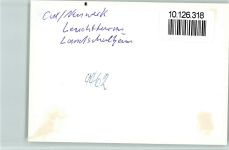 20095 W2191 Hamburg-Insel Neuwerk FOTO KEINE AK Leuchtturm Wattwagen