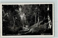 Breznik Pürstling - Birkenallee