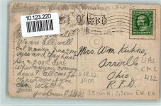 Weihnachtskarte Ilex Tannennadeln Kinder Schlitten Schlitten 1909 Prägedruck